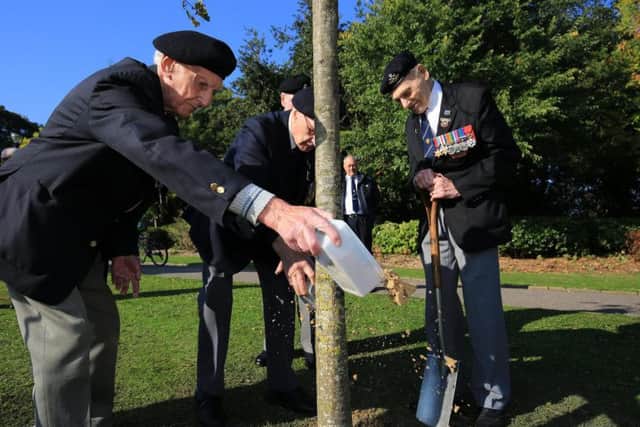 Normandy Veterans in Sheffield plant a tree in Weston Park as a D-Day memorial. Normandy veterans scatter sand from the beaches of Normandy around the tree. Picture: Chris Etchells