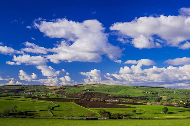 Loxley Bottom