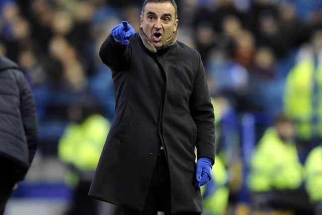 Carvalhal managed over 130 matches as Owls boss