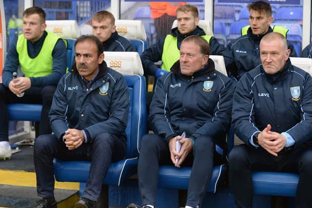 Sheffield Wednesday chief Jos Luhukay
