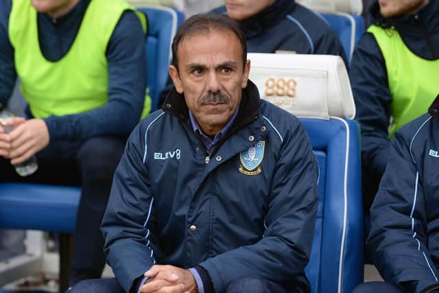 Sheffield Wednesday manager Jos Luhukay
