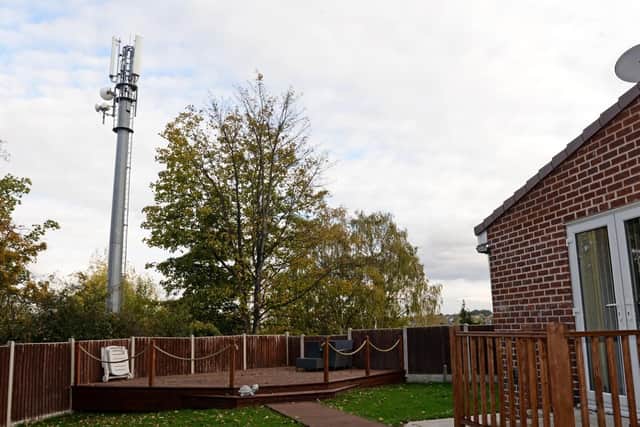 The mobile phone mast that overlooks the garden of Diane Stevenson.
