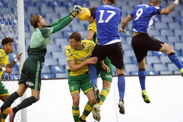 Steven Fletcher impressed in Sheffield Wednesday's heavy home defeat