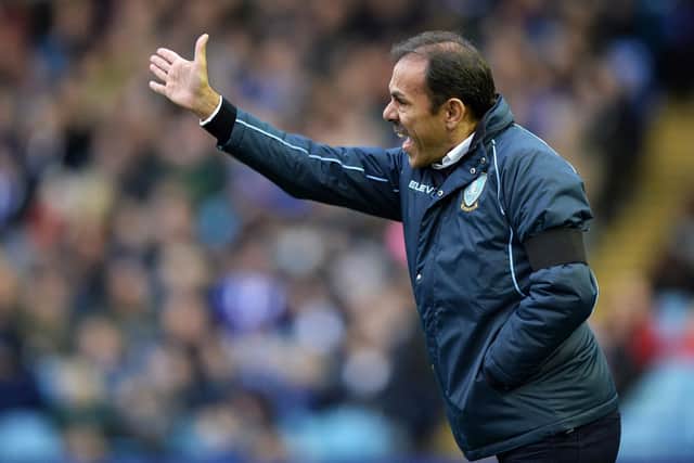 Owls Manager Jos Luhukay ......Pic Steve Ellis