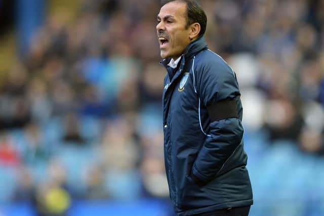 Under pressure Owls manager Jos Luhukay