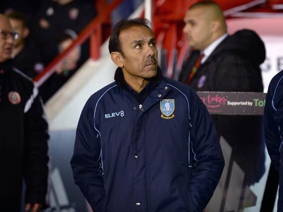 Are things looking up for Owls Manager Jos Luhukay?