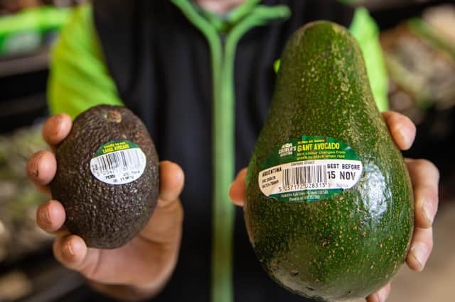 Asda is making every millennials dream come true this week with the launch of Giant Avocados  a UK first for the creamy green fruit  set to make brunch even bigger and better for only 1.60 and two to three times larger than the average large avo.