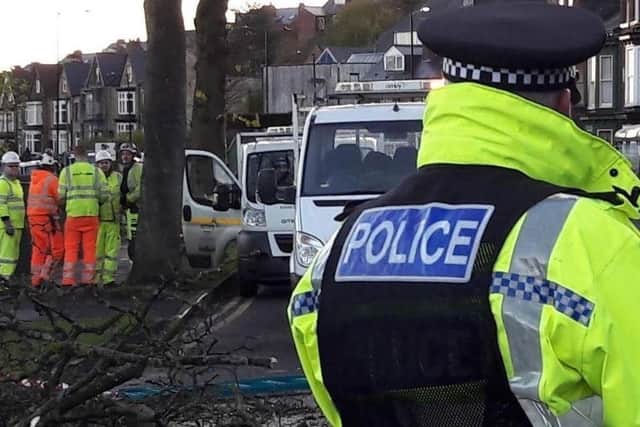 Police supported a pre-dawn tree-felling operation on Rustlings Road last year