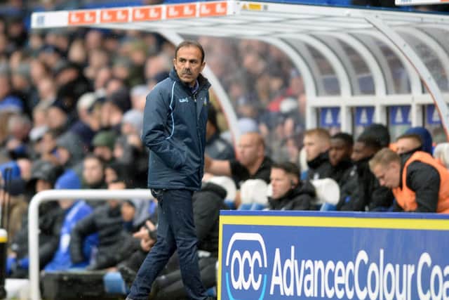 Owls Manager Jos Luhukay.....Pic Steve Ellis
