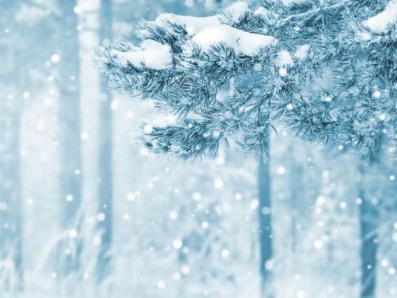 The temperatures have recently plummeted and Yorkshire has had its first flurries of snow, but will Sheffield see a white Christmas this year?