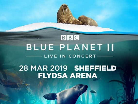 Blue Planet II - Live In Concert