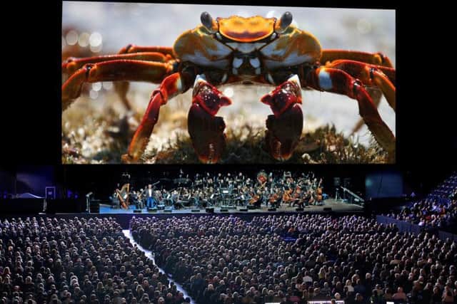Blue Planet II  Live In Concert immerses fans in a breath-taking, epic two-hour show