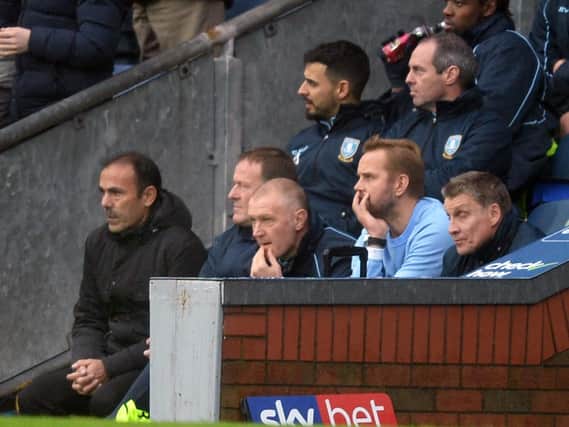 Sheffield Wednesday boss Jos Luhukay has vowed to fight on