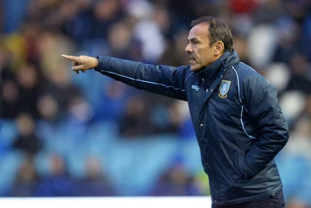 Owls Manager Jos Luhukay
