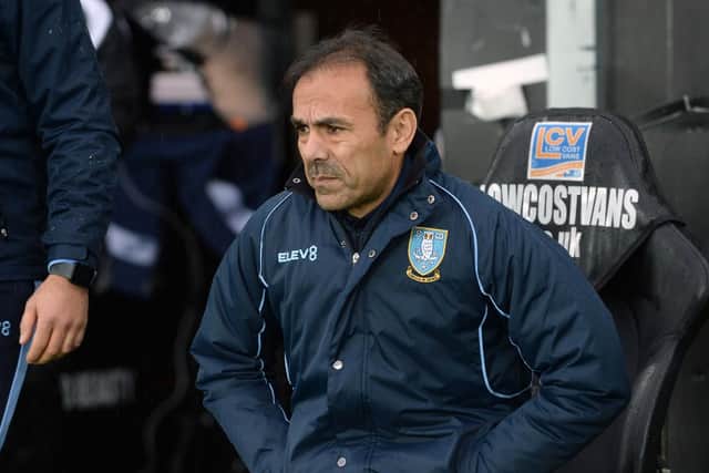 Owls Manager Jos Luhukay.....Pic Steve Ells