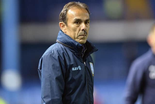 Former Sheffield Wednesday manager Jos Luhukay