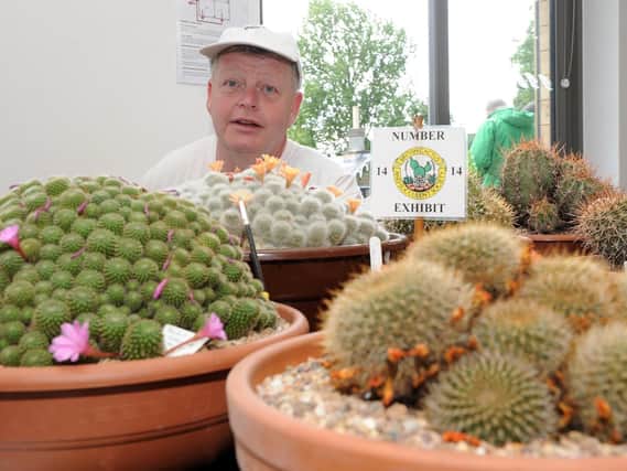 Peter Cowdell of Sheffield branch of the British Cactus and Succulent Society at a cactus show at the Sheffield Botanical Gardens