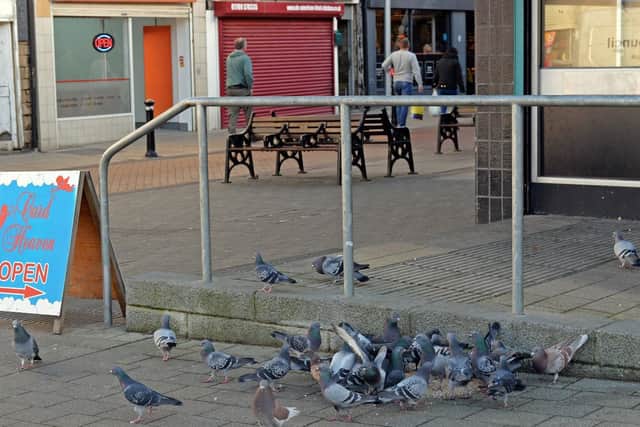 Pigeons on Mexborough High Street. Picture: Marie Caley NDFP-08-01-19-PigeonsMexborough-2
