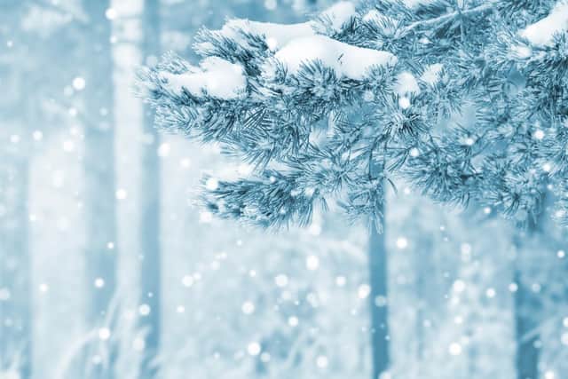 The weather in Sheffield is set to be wintry today, as forecasters predict cloud, light rain, sleet, icy conditions and below freezing temperatures