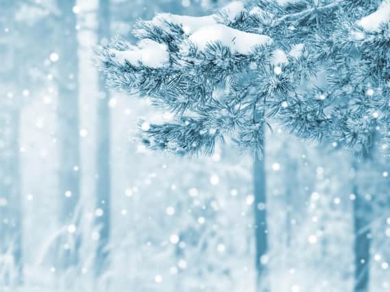 The weather in Sheffield is set to be wintry today, as forecasters predict cloud, light rain, sleet, icy conditions and below freezing temperatures