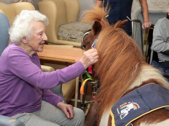 Leahyrst Nursing Home gets a visit from Harry the Shetland pony