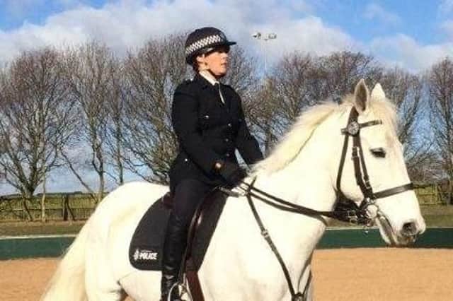 The longest serving police horse is preparing to hang up his horseshoes and enjoyretirement after 16 years service. Oakwell, whose stable name isGeorge, is the longest serving horse in the Mounted Section and will work his final shift on March 30, 2019.
