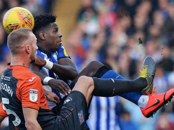 Lucas Joao was hauled off in the 58th minute against Swansea City