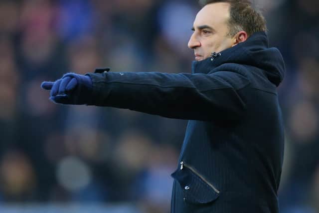 Carlos Carvalhal  (Photo by Dave Thompson/Getty Images)