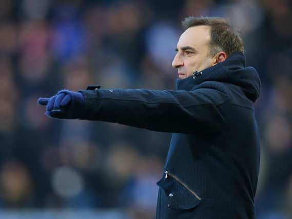 Carlos Carvalhal  (Photo by Dave Thompson/Getty Images)