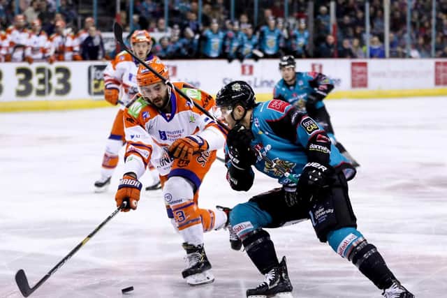 Belfast Giants' Dustin Johner with Sheffield Steelers' Josh McFadden during Sunday's Elite Ice Hockey League game at the SSE arena , Belfast.    Photo by William Cherry/Presseye