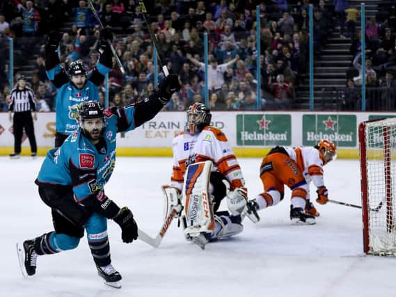 Disappointing year for Steelers. Photo by William Cherry/Presseye