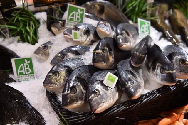 Bio fish - (CHRISTOPHE ARCHAMBAULT/AFP/Getty Images)