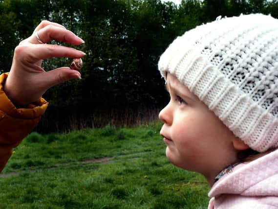 Sheffield and Rotherham Wildlife Trust BioBlitz on Wadsley Common: Bella Paynter (2) looks at a snail shell