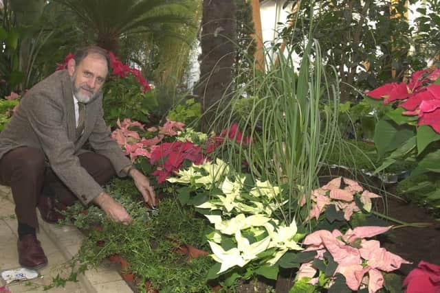 David Howgate tending to plants in Sheffield's Winter Garden