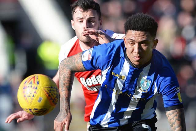 Owls defender Liam Palmer
