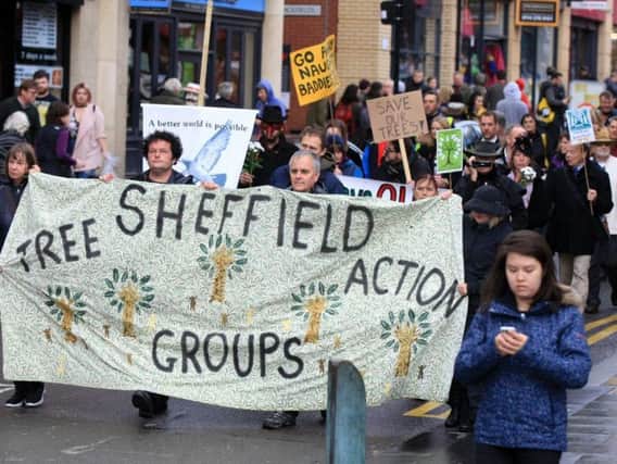 There have been ongoing protests against Sheffield Council's tree-felling strategy in recent years.