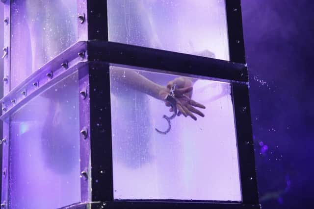 The Illusionists