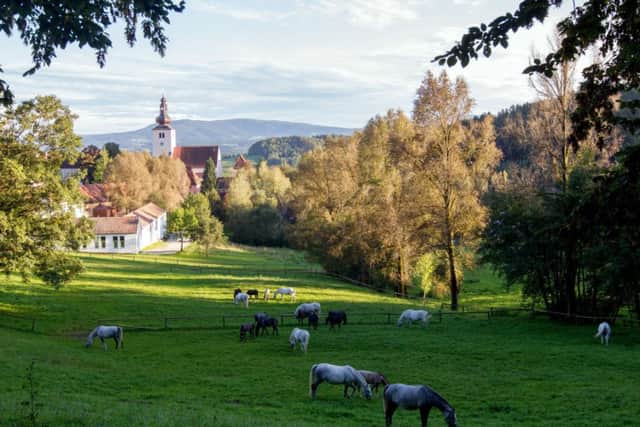 The Spanish Riding School of Vienna's Lipizzaner Stud Farm at Piber in Austria.