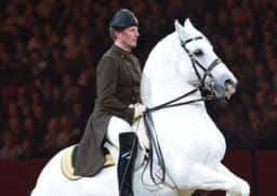 Spanish Riding School of Vienna coming to Sheffield Motorpoint Arena, from October 31 to November 2, 2014.