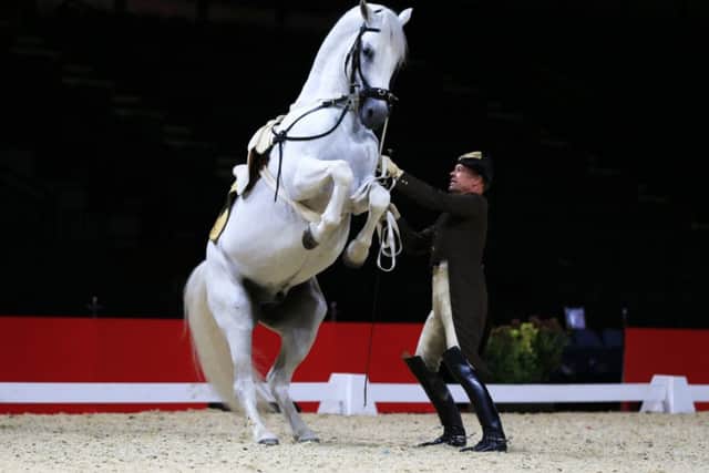 The Spanish Riding School of Vienna at Sheffield Motorpoint Arena
