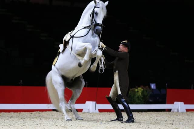 The Spanish Riding School of Vienna at Sheffield Motorpoint Arena