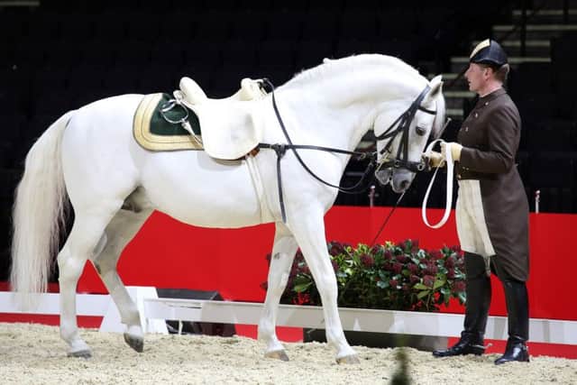 The Spanish Riding School of Vienna at Sheffield Motorpoint Arena
