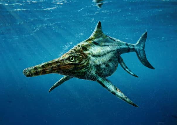 An icthyhosaur.