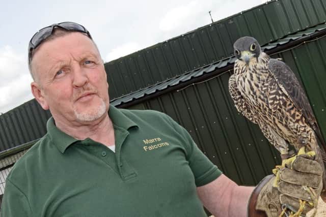 Bryn Close, pictured with one of his falcons. Picture: Marie Caley NDOS 01-06-15 Falcons MC 1