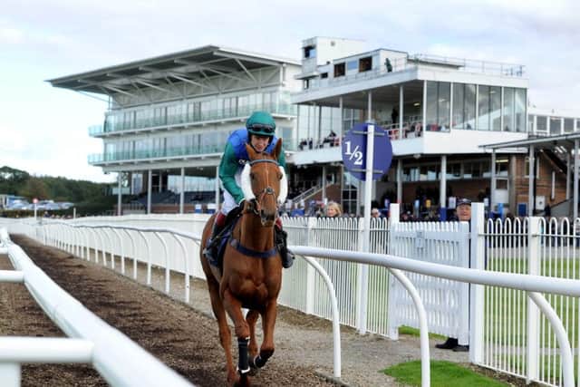 FIT FOR A KING -- Wetherby, where Diamond King was an impressive winner of his first races in Bumpers and novice hurdles.