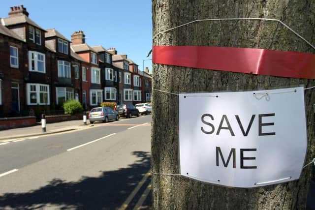 Save the trees campaign on Rustlings Road in Sheffield