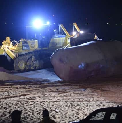 Work starts on the removal of one of the sperm whales