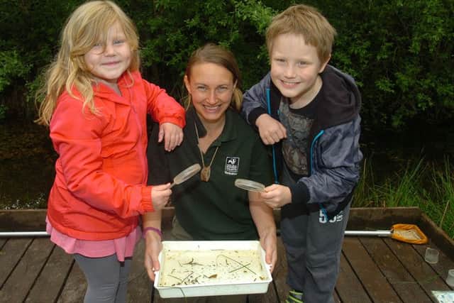 Potteric Carr Nature Reserve, Yorkshire Nature Festival.  Grace Dearing (seven) and brother Oscar Dearing (eight) inspect their catch with Inspiring People Assistant Charlotte Holgate.   Picture: Malcolm Billingham