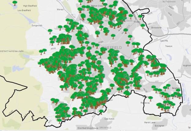 Map showing where trees have been planted in Sheffield since the Streets Ahead project started