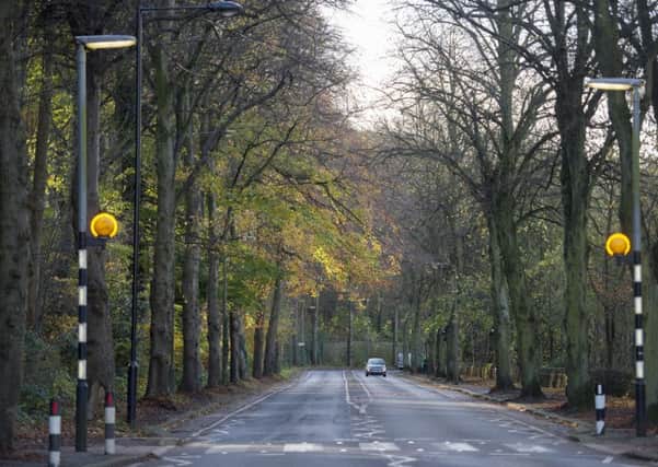 Trees under threat from Sheffield City Council on Rivelin Valley Road in the city
Picture Dean Atkins